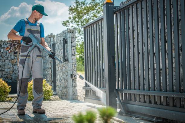 Best Soft Washing  in Squirrel Mountain Valley, CA